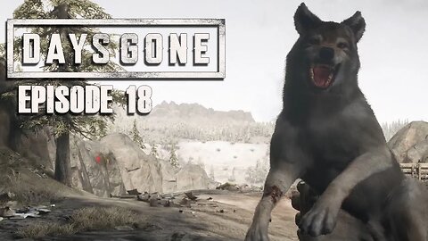 Days Gone | Bears, Wolves, and Zombies, Oh my! - Ep. 18