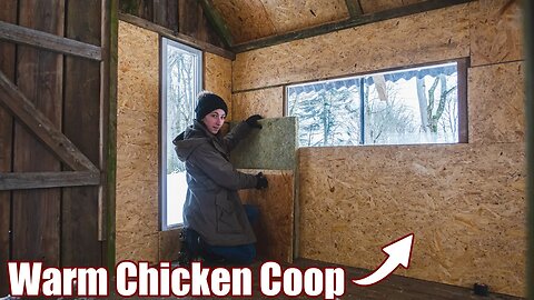 Fully Insulated Bird Coop!?