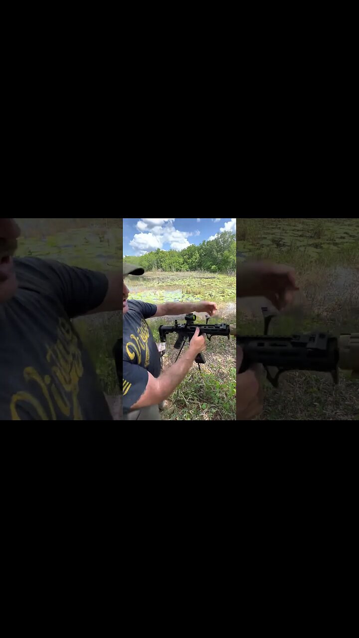 Get Rugged with the Trijicon MRO Red Dot | Survival Downrange