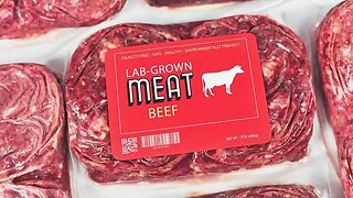 LAB CREATED MEATS NOW SOLD IN STORES!