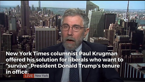 Paul Krugman Has An Interesting Idea For Liberals Looking For a Way to ‘Survive’ the Trump Era