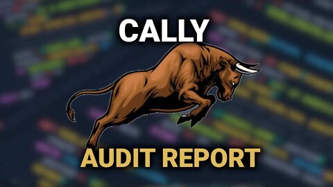 Reading Audit Reports - Cally