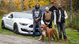 World’s Biggest Pitbull Hulk Stars In Rap Video | DOG DYNASTY