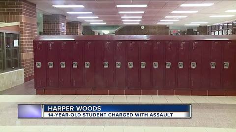 Harper Woods teen charged with disturbing the peace