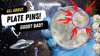 🍄 All About Plate Pins: What Can You Do With Them? 👽