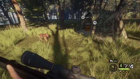 The Hunter Call of the Wild gameplay E1