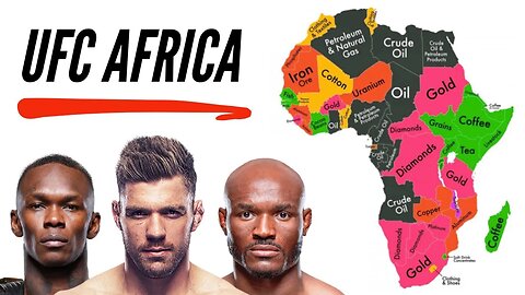 UFC AFRICA Card Builder (NOT a joke)