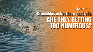 Crocodiles in Northern Australia - Are they getting too numerous?