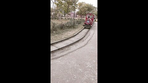 Indian toy train