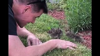 Guy befriends 6 tiny bunnies