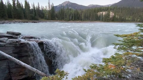 Amazing Athabasca Falls