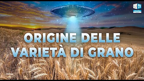 È vero che gli Anunnaki hanno portato il mais sul nostro pianeta?