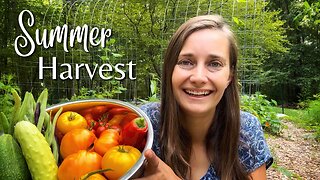 Harvesting the Vegetable Garden | Summer Harvest