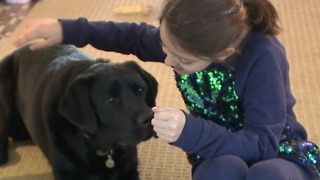 Fourth-grader takes her love of dogs to the statehouse to make Labrador Retriever the state dog