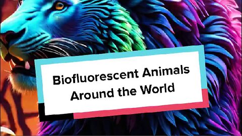 Biofluorescent Animals Around the World