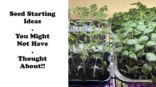 Frugile Ideas For Seed Starting