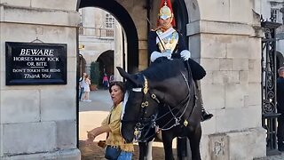 The horse makes the tourist jump #horseguardsparade 😆 🤣 😂