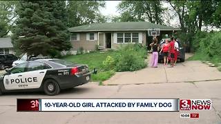 10 year-old girl attacked by family dog