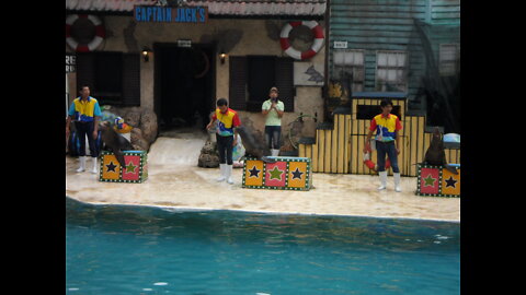 Famous sea lion show at Safari park, Bangkok