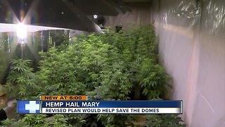 Revised plan would help save the domes