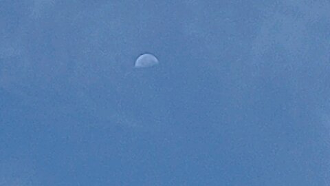 Daytime Moon 7/27/24 9:52