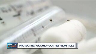 Health officials warn people to watch for ticks this summer