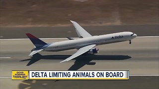 Delta restricts support animals on long flights