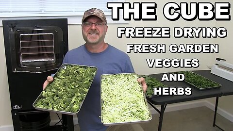 The Cube - Freeze Drying Fresh Greenhouse Veggies And Herbs