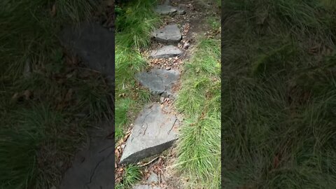 Backpacking Trip (Little Pinnacle at Grayson Highlands State Park)