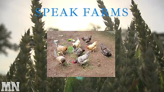 G'Morning MaGroins at Speak Farms. 6:30 - 9:30 am ET