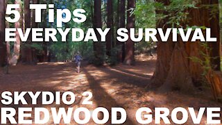 5 Tips for Everyday Survival - Skydio 2: Watch Out! - Redwood Grove (4K)