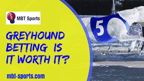 Greyhound Betting: Is It Worth It?
