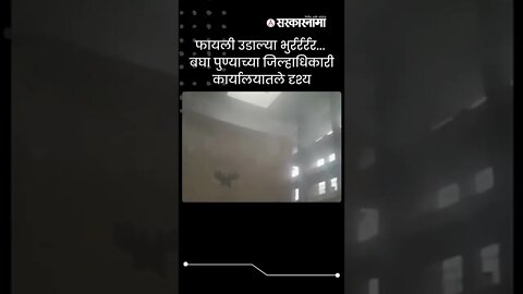 Pune Rain |फायली उडाल्या भुर्रर्रर्रर... बघा पुण्याच्या जिल्हाधिकारी कार्यालयातले दृश्य | Sarkarnama