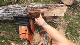 How to detect the Emerald Ash Borer