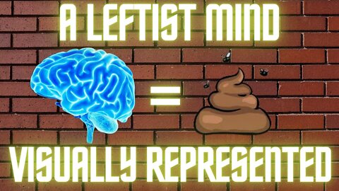 The Leftist Mind - A Visual Representation