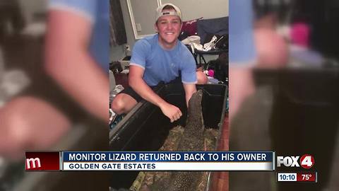Monitor Lizard Returnes Back to his Owner