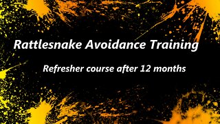 Rattle Snake Avoidance Training - Refresher One Year Later (2018)