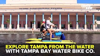Tampa Bay Water Bike Company along the Riverwalk | Giant Adventure