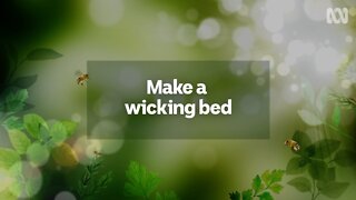Gardening Australia: How To Make A Wicking Bed