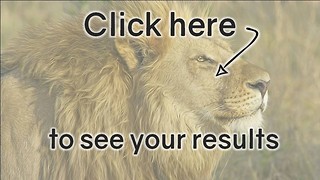 Animal Quiz: Top Score