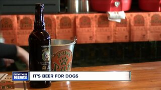 Beer for dogs