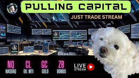 No Sound Stream - Raw Trading - Awesome Trading Day