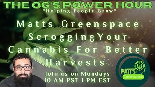 The OG's Power Hour: Matts Greenspace