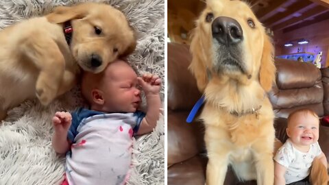 Baby & puppy share precious moments together