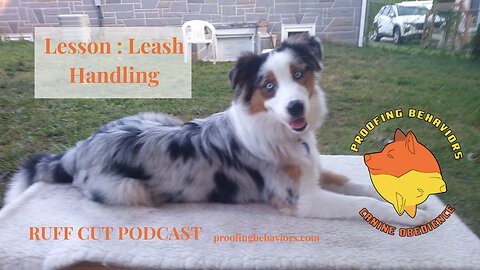 Ruff Cut PodCast Leash Handling part 2