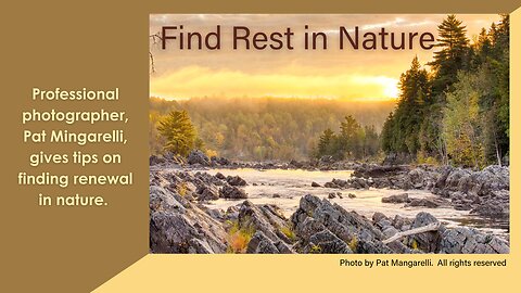 S1E29 Discovering Peace and Spiritual Renewal in Nature: An Interview with Pat Mingarelli