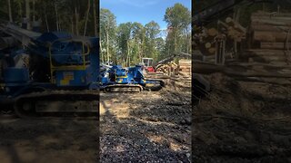 Just here at the office. #landclearing #peterbilt #treeservice