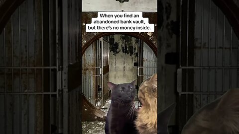 No money in an abandoned bank vault. #abandoned #funny #abandonedplaces #meme #comedy #urbex