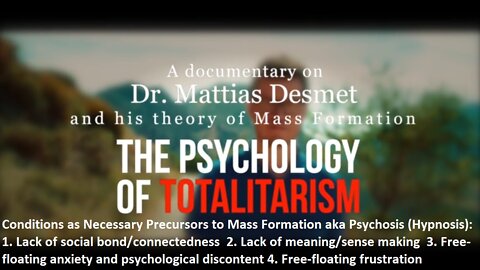 Prof. Dr. Mattias Desmet about Theory of Mass Formation / Mass Psychosis and The Psychology of Totalitarianism