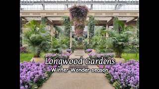 Longwood Gardens Winter Wonder season